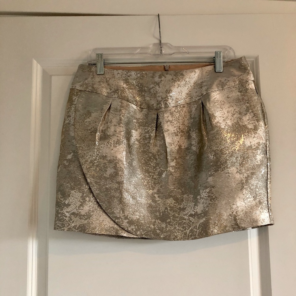 Francesca's silver skirt with pockets